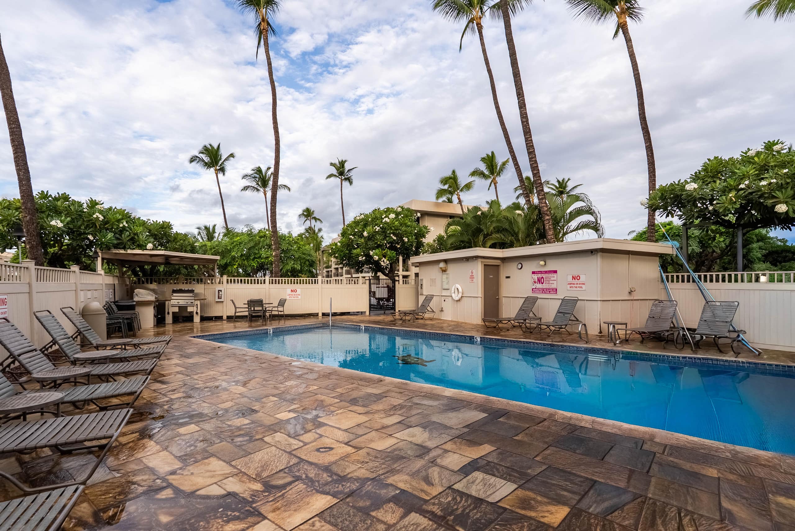 Condo in Kihei · ★5.0 · 1 bedroom · 2 beds · 1 private bath - Image 48