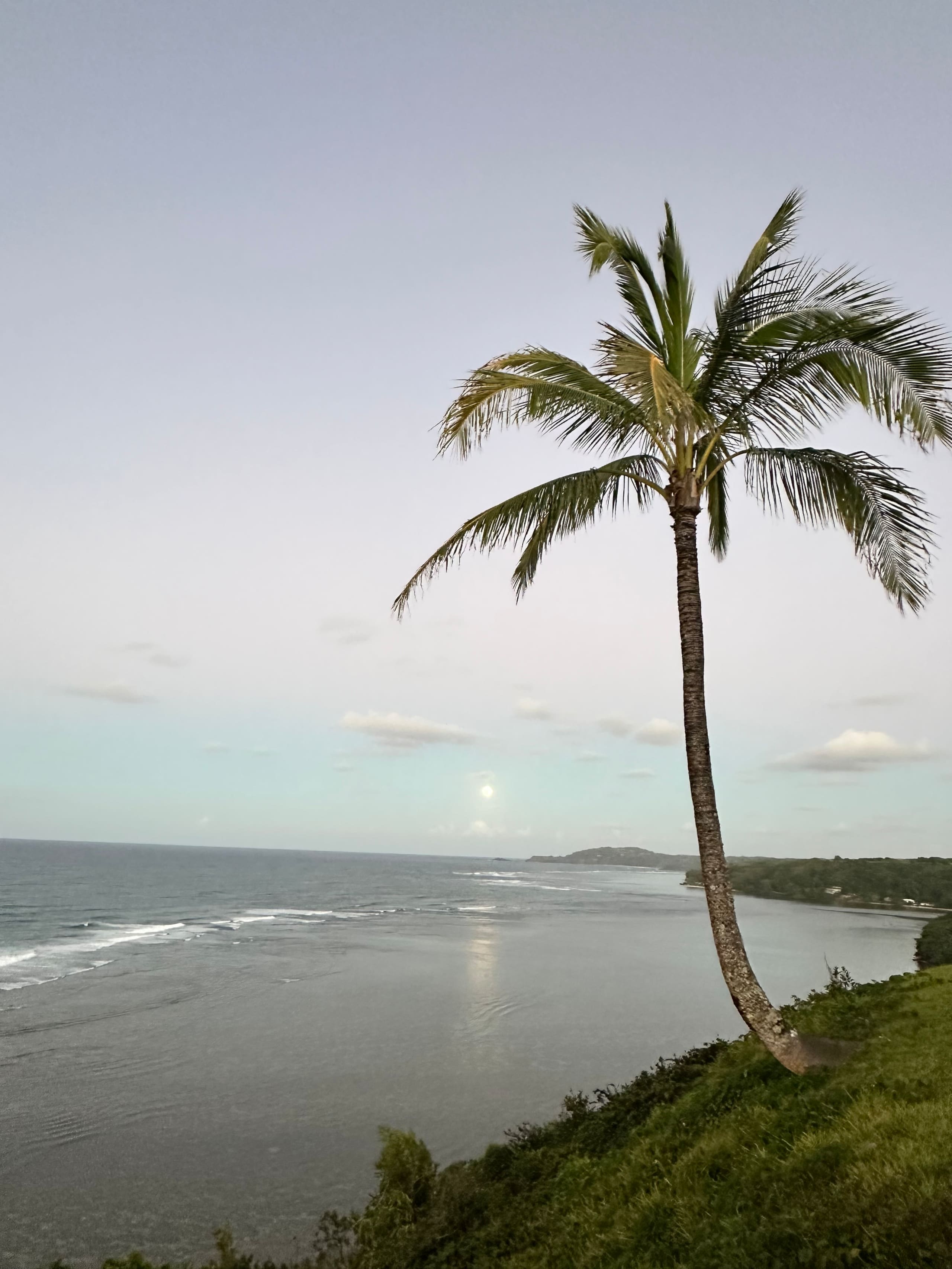 Condo in Princeville · ★5.0 · 1 bedroom · 1 bed · 1 bath - Image 17