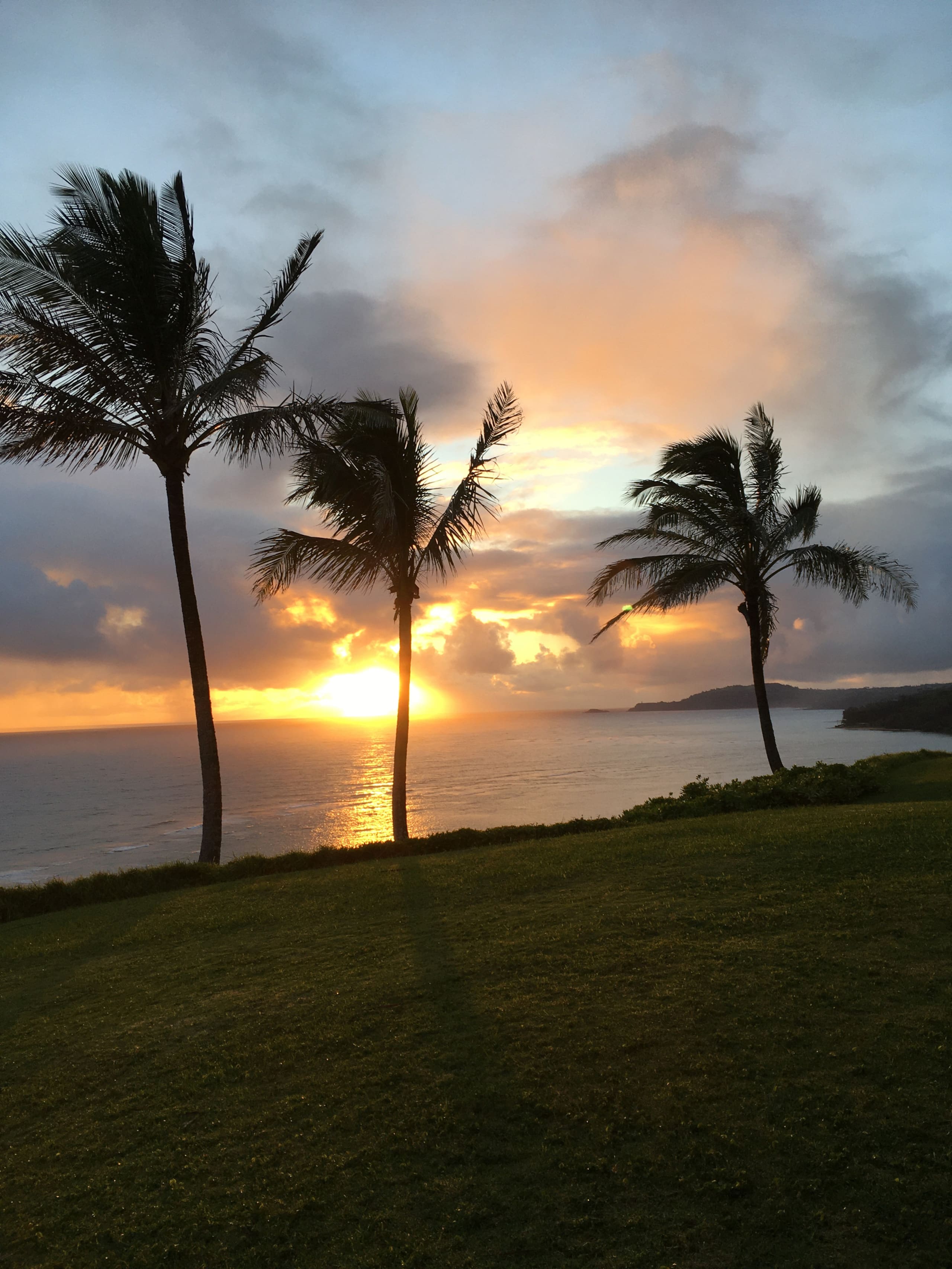 Condo in Princeville · ★5.0 · 1 bedroom · 1 bed · 1 bath - Image 26