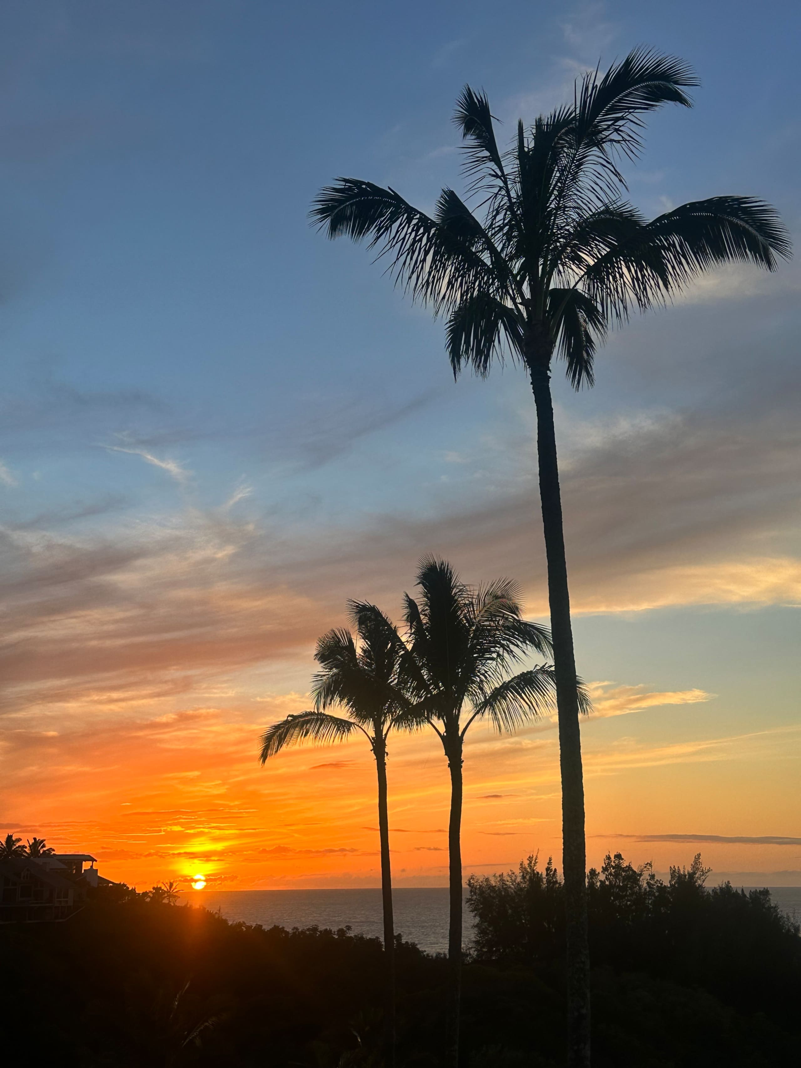 Condo in Princeville · ★5.0 · 1 bedroom · 1 bed · 1 bath - Image 18