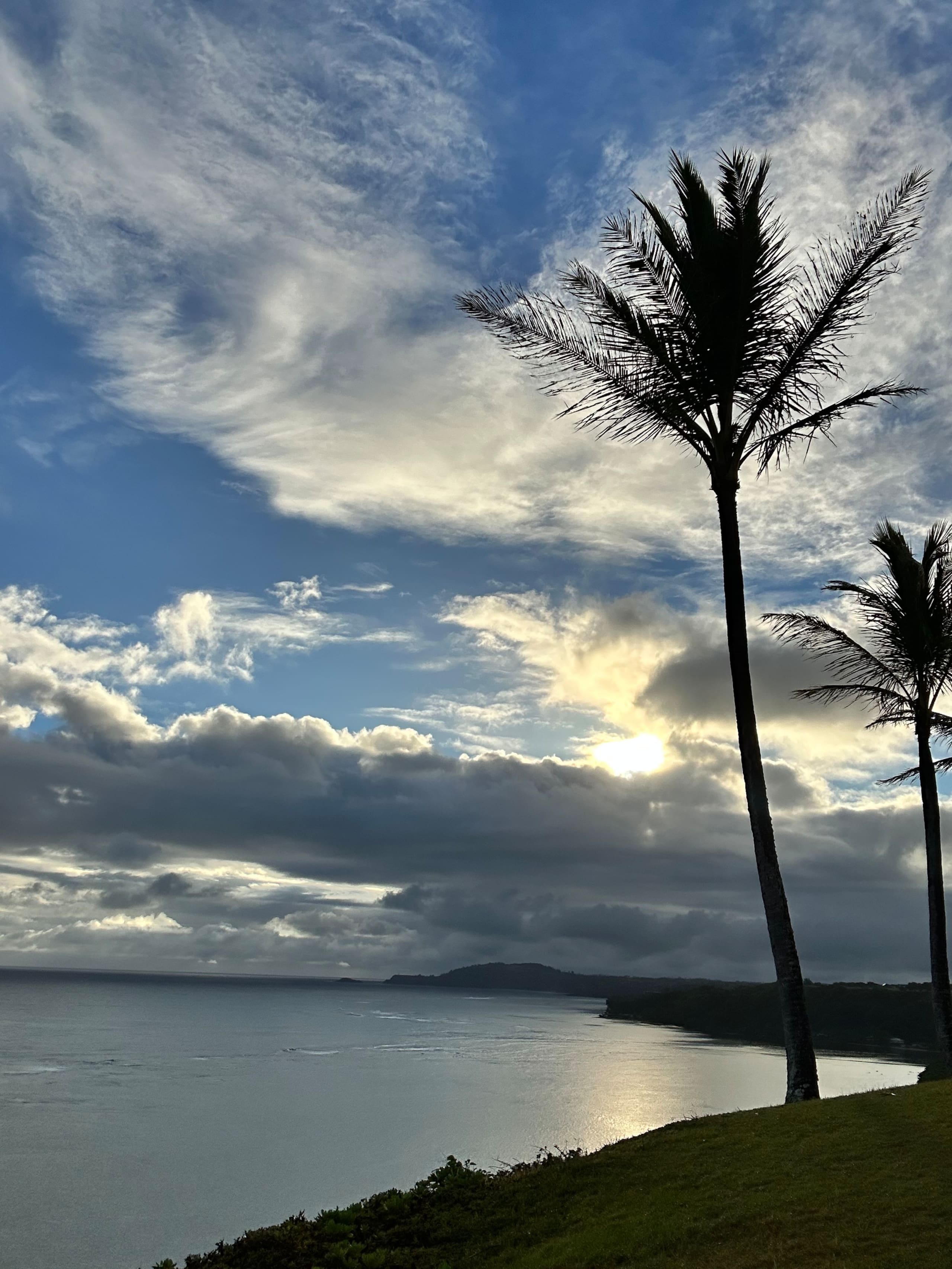 Condo in Princeville · ★5.0 · 1 bedroom · 1 bed · 1 bath - Image 21