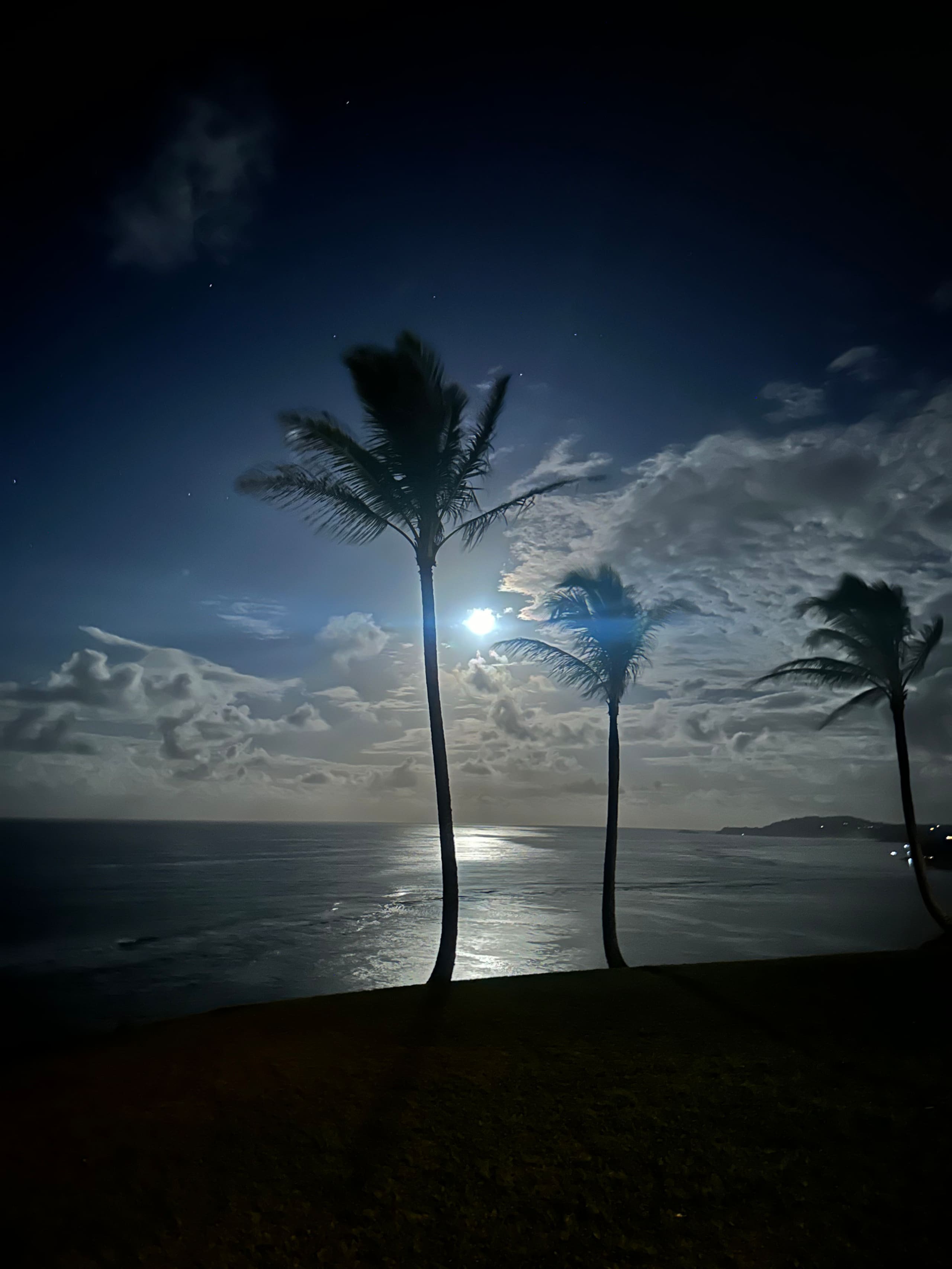 Condo in Princeville · ★5.0 · 1 bedroom · 1 bed · 1 bath - Image 19