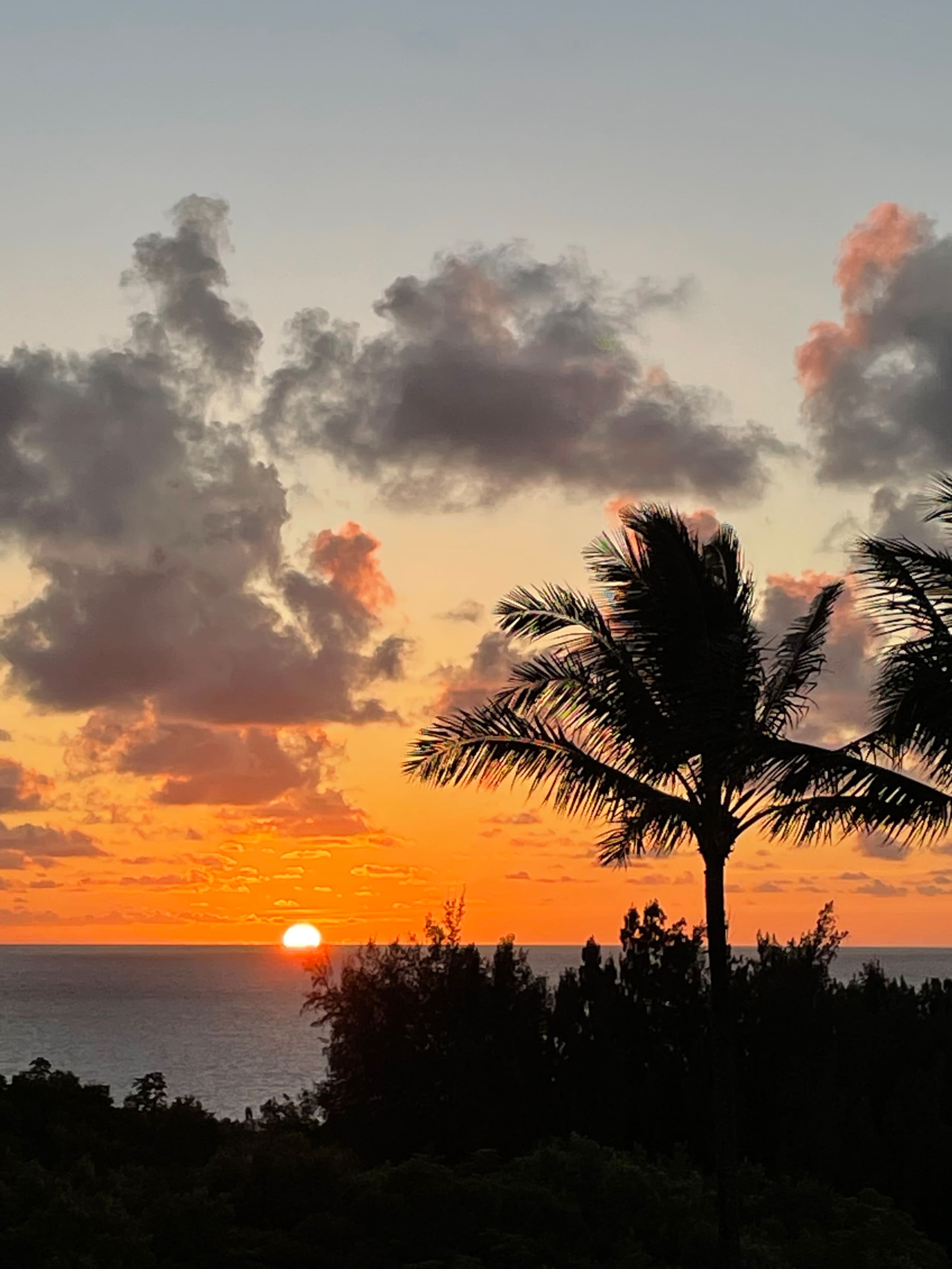 Condo in Princeville · ★5.0 · 1 bedroom · 1 bed · 1 bath - Image 25