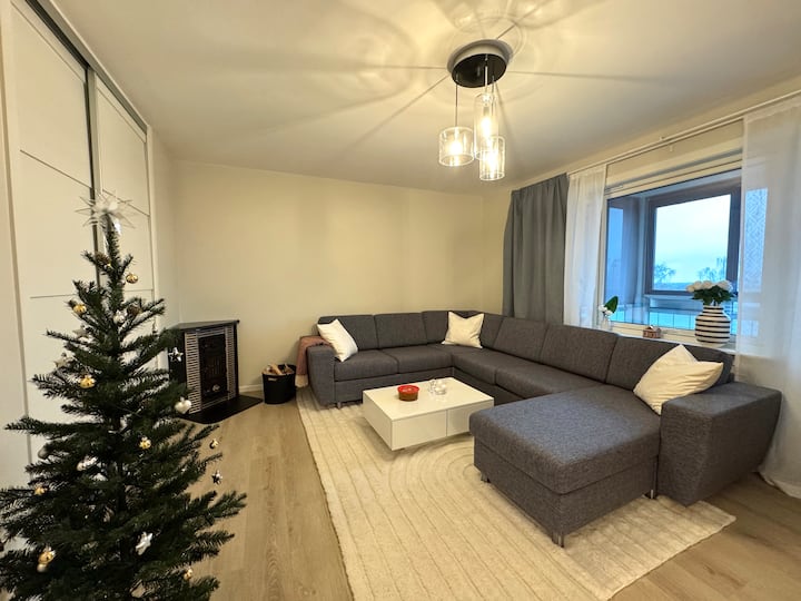 Illustration of Luxury Condominiums Norway Rent