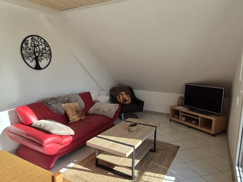 Top performing Airbnb: apartment in a house, quiet in Haguenau