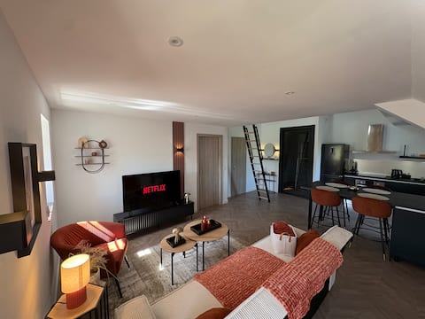Propriété Airbnb réussie: Fabulous apartment in the heart of Belfort à Belfort