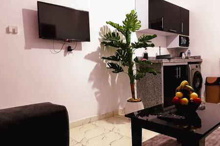 stylish cozy one bedroom apartment
