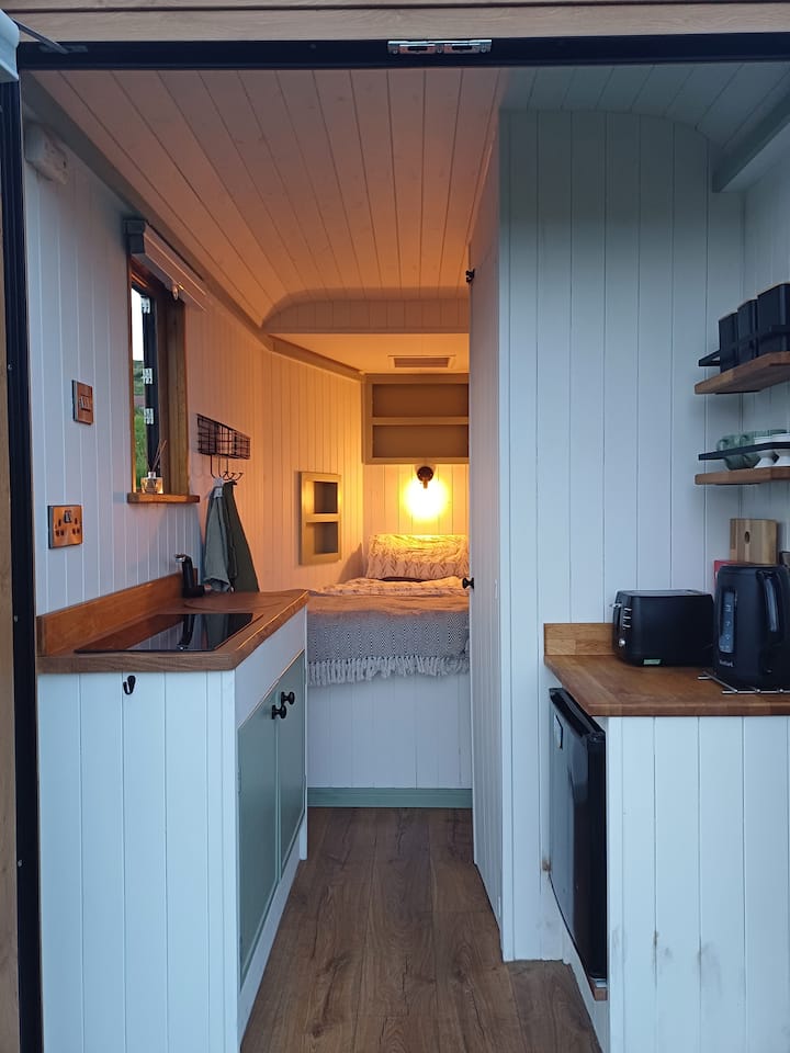 The Wee Horsebox - Isle of Lewis