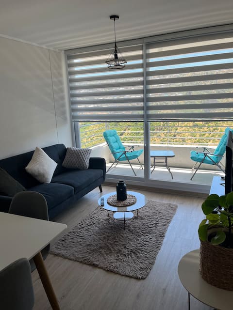 Furnished apartment, Viña del Mar.