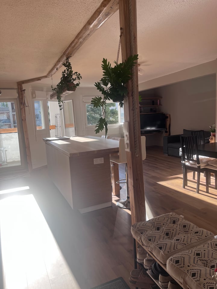 Appartement Lumineux En Plein Centre-ville - Briançon