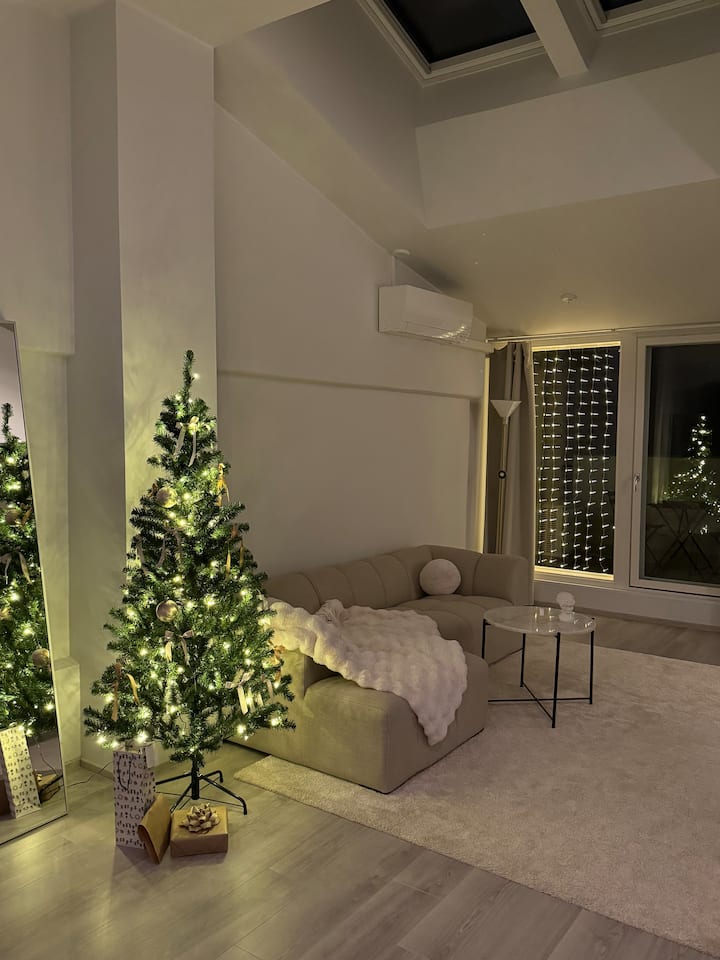 Loft penthouse - Centre-ville - Appartements à louer à Helsinki ...
