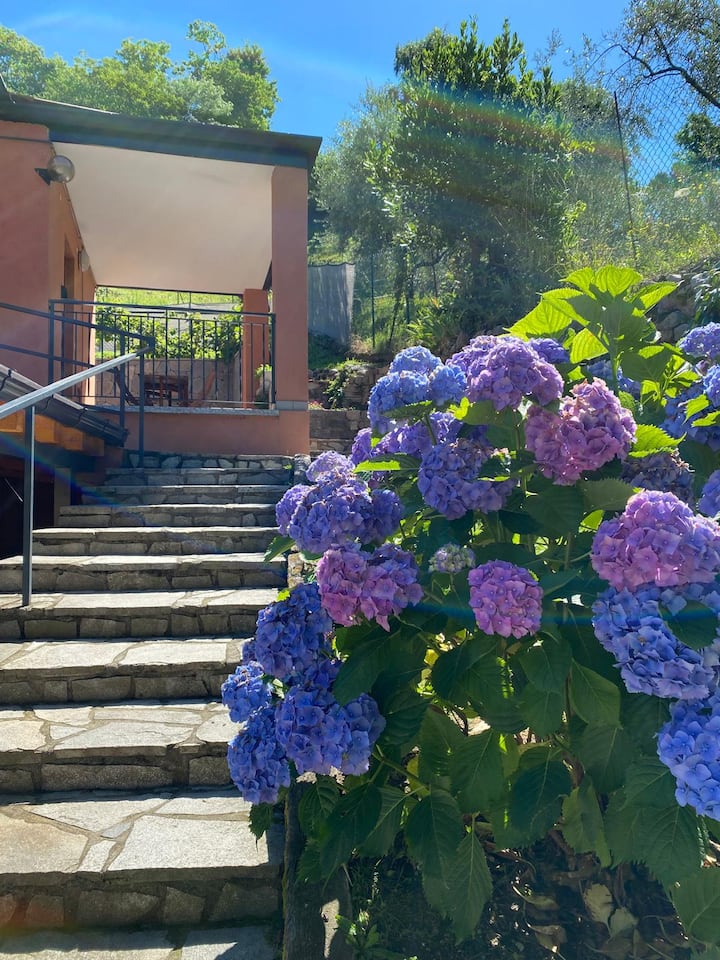 Cannella Apartment - Bellagio