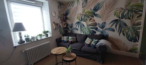Annonce Airbnb populaire: Large 4-bedroom duplex • Downtown • Terrace & parking à La Bresse