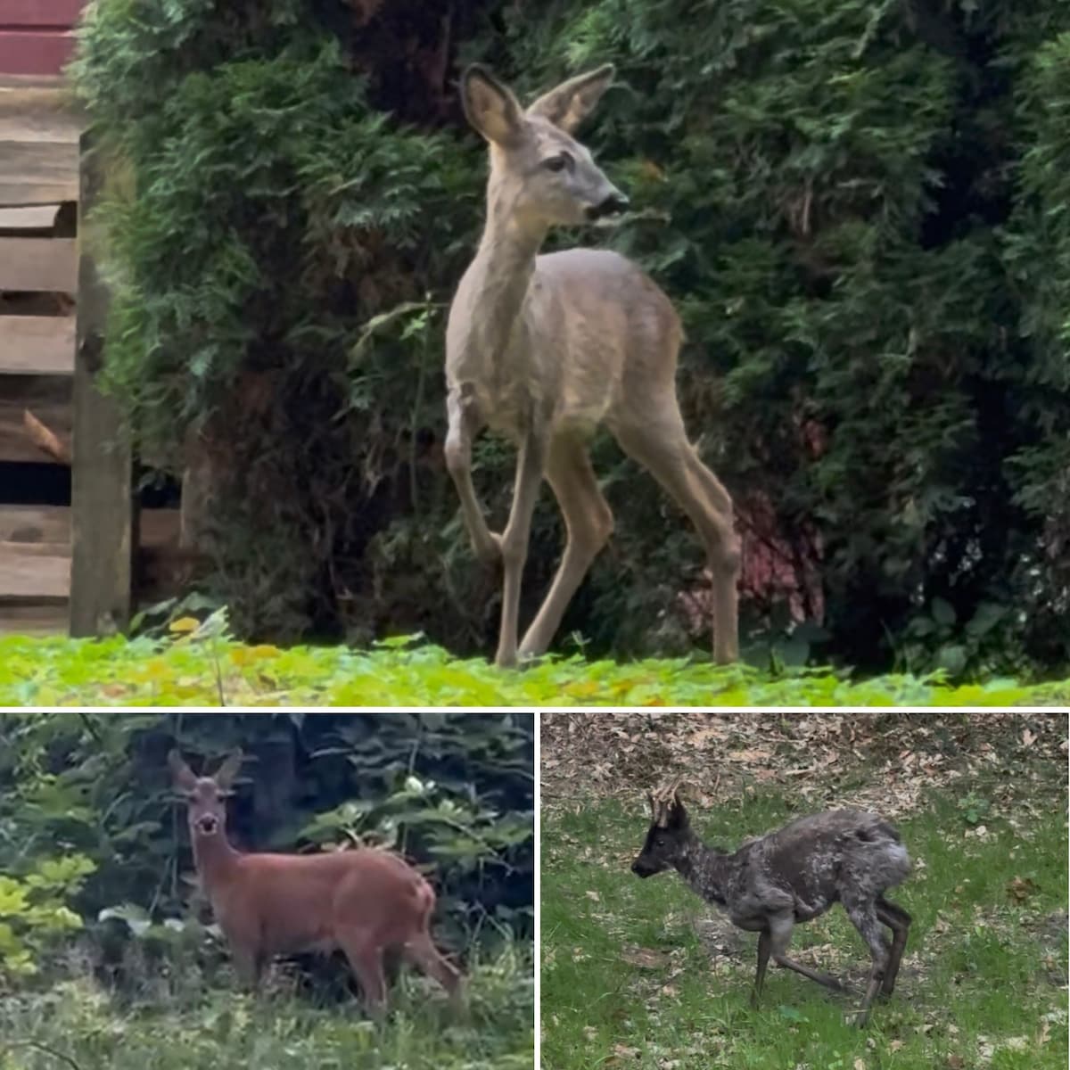 Nature and city life - Relaxation and exploring Hamburg