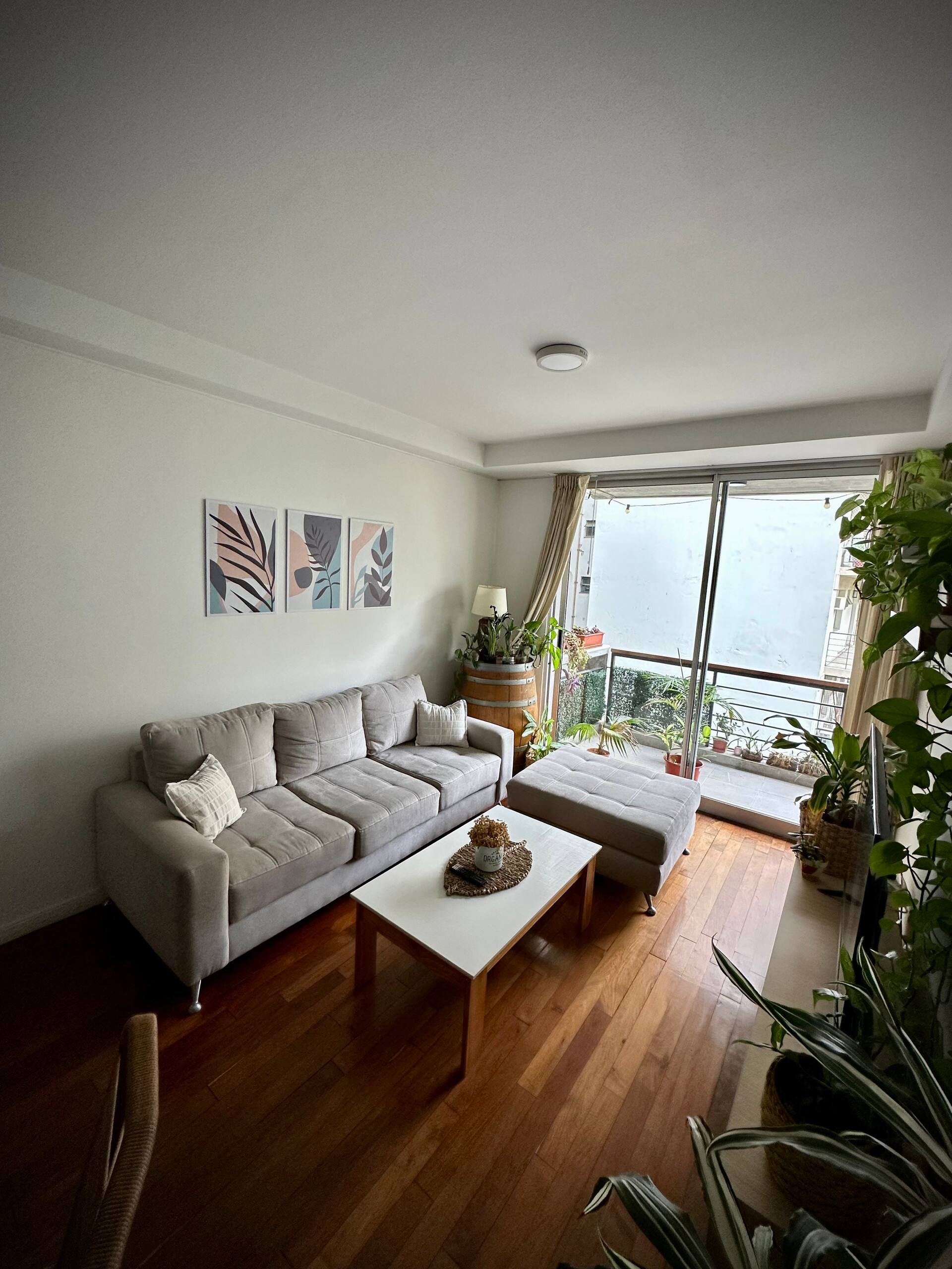 Two-bedroom apartment in Núñez