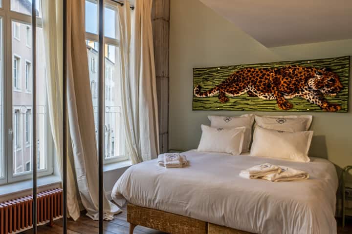 Suite Claude - Duplex Luxueux/king Size/baignoire - Nancy