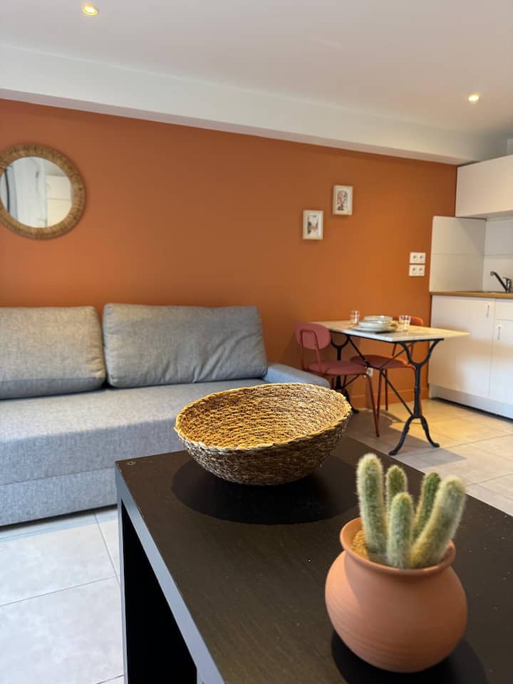 La Suite Des Charmettes - Villeurbanne