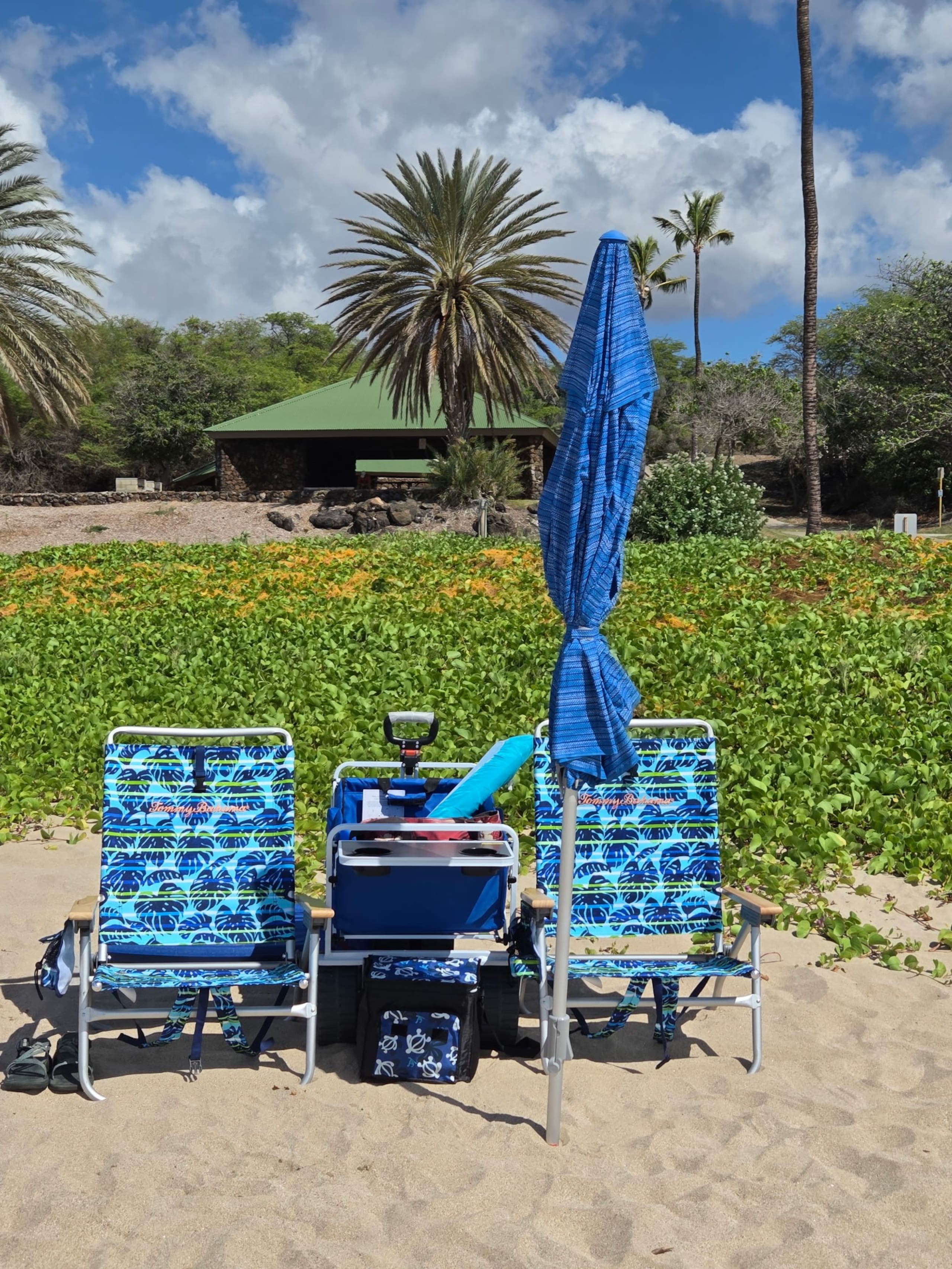 Waikoloa Colony Villas-Pool Pickle Ball Beach Gear - Photo 48