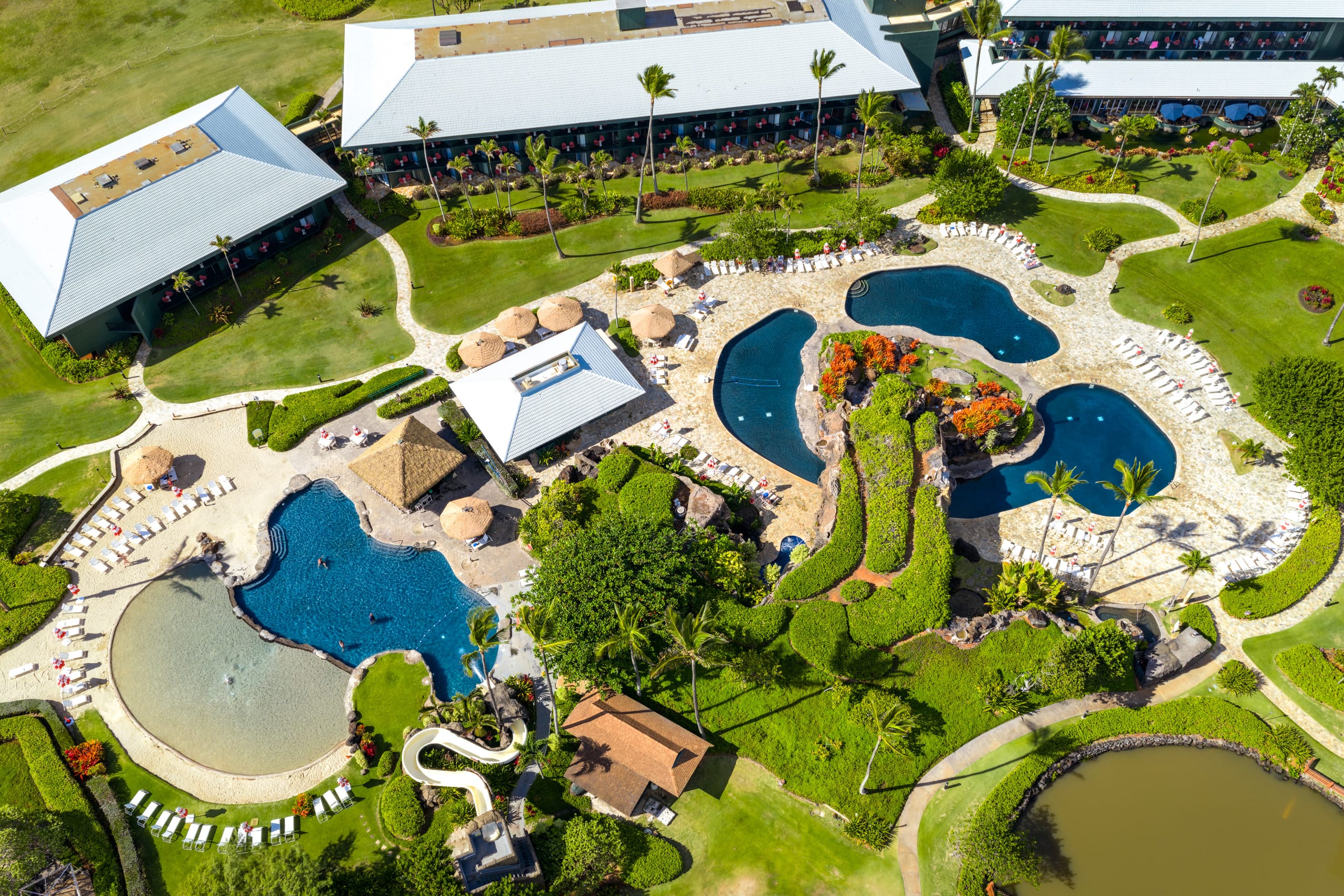 Oceanfront Paradise Views and Luxury - Image 9