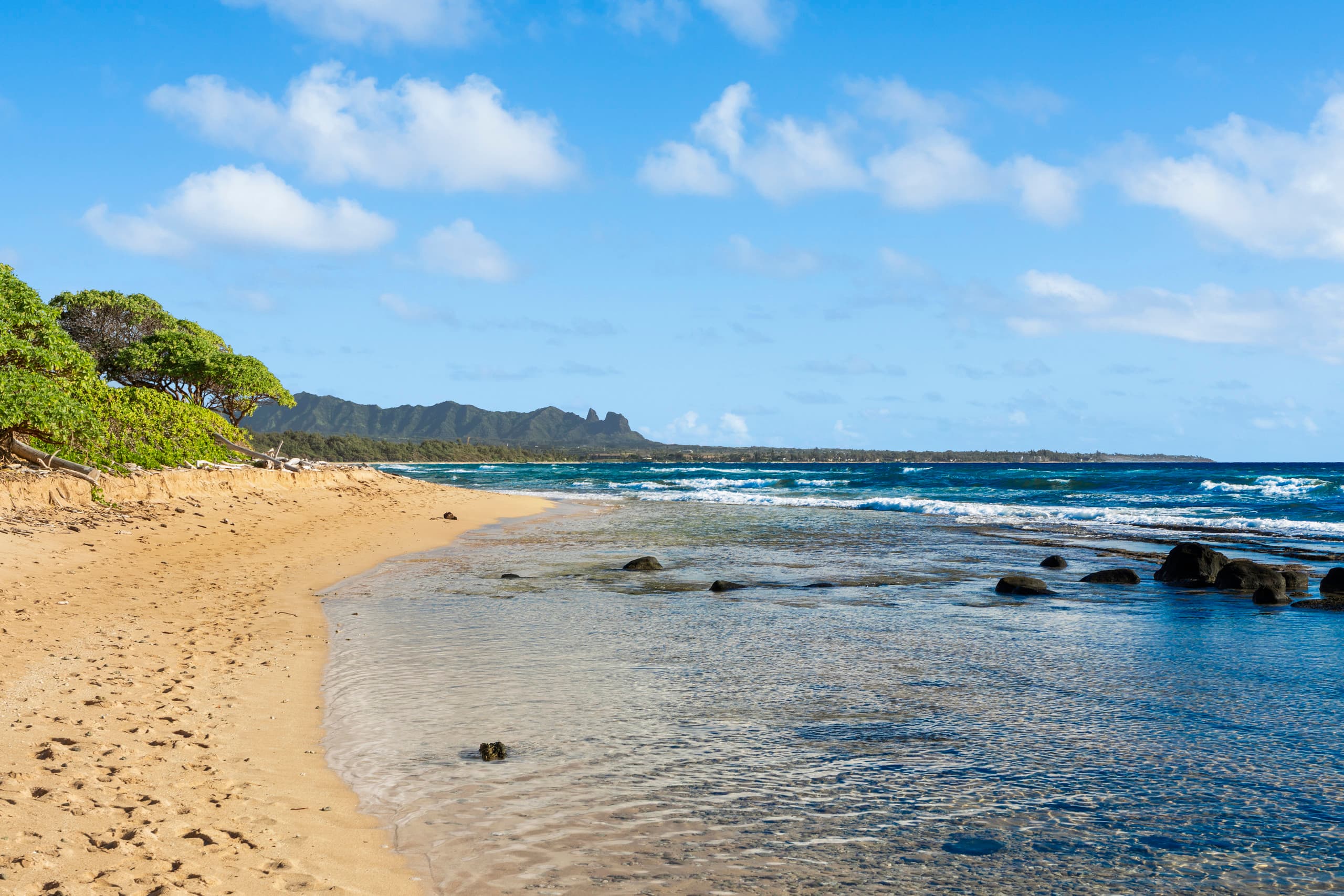 Oceanfront Paradise Views and Luxury - Image 10