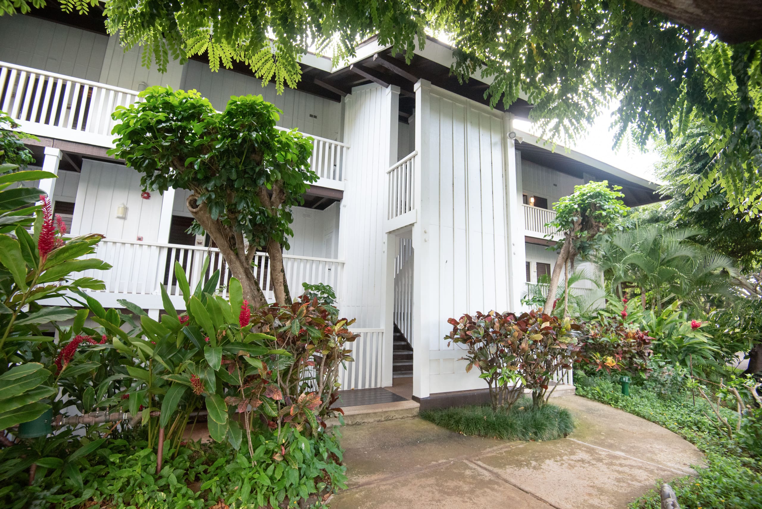 Home in Koloa · ★4.93 · 1 bedroom · 3 beds · 1 bath - Image 24