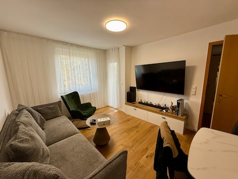 Newly renovated 2-room apartment in Stuttgart