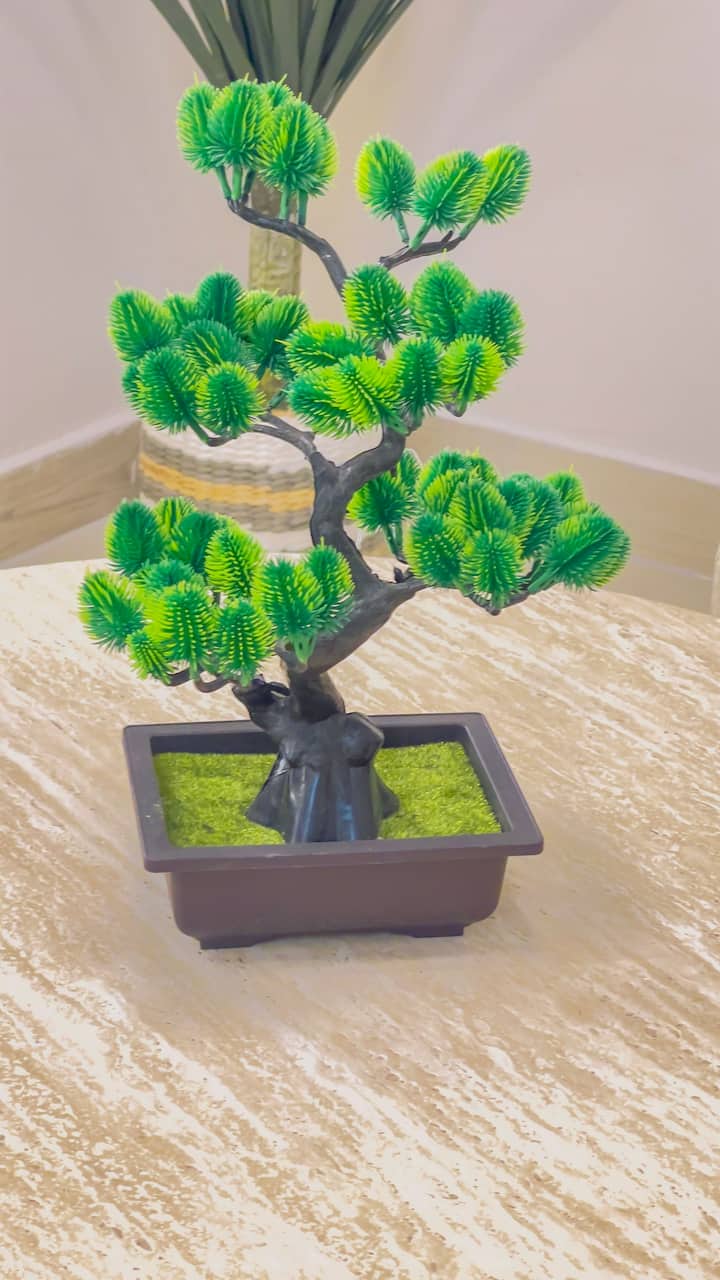 พื้นที่อยู่อาศัย