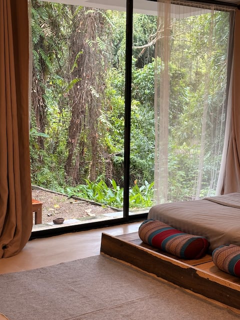 Lakehouse in the Old Rainforest