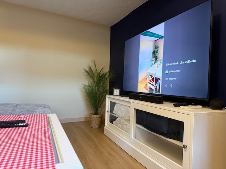S'nekel Hisel: Maison Tout Confort Climatisé - Baerenthal