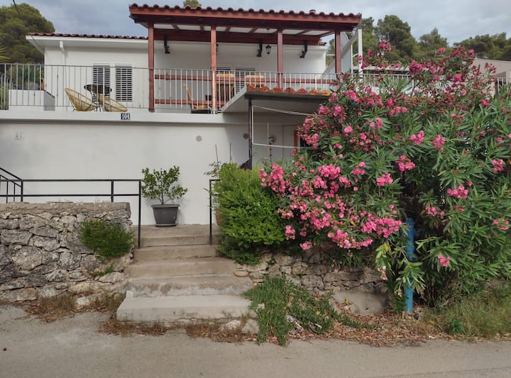 Apartment Ana Gradina - Vela Luka - Two Bedroom - Vela Luka