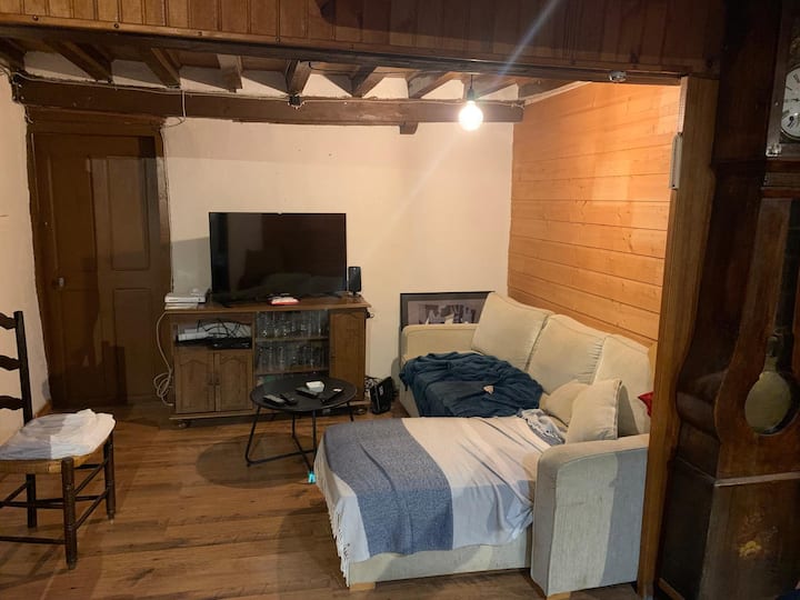 Un salón cómodo con TV, reproductor de DVD y equipo de música. CD y libros disponibles. Un sofá cama cuando sea necesario.