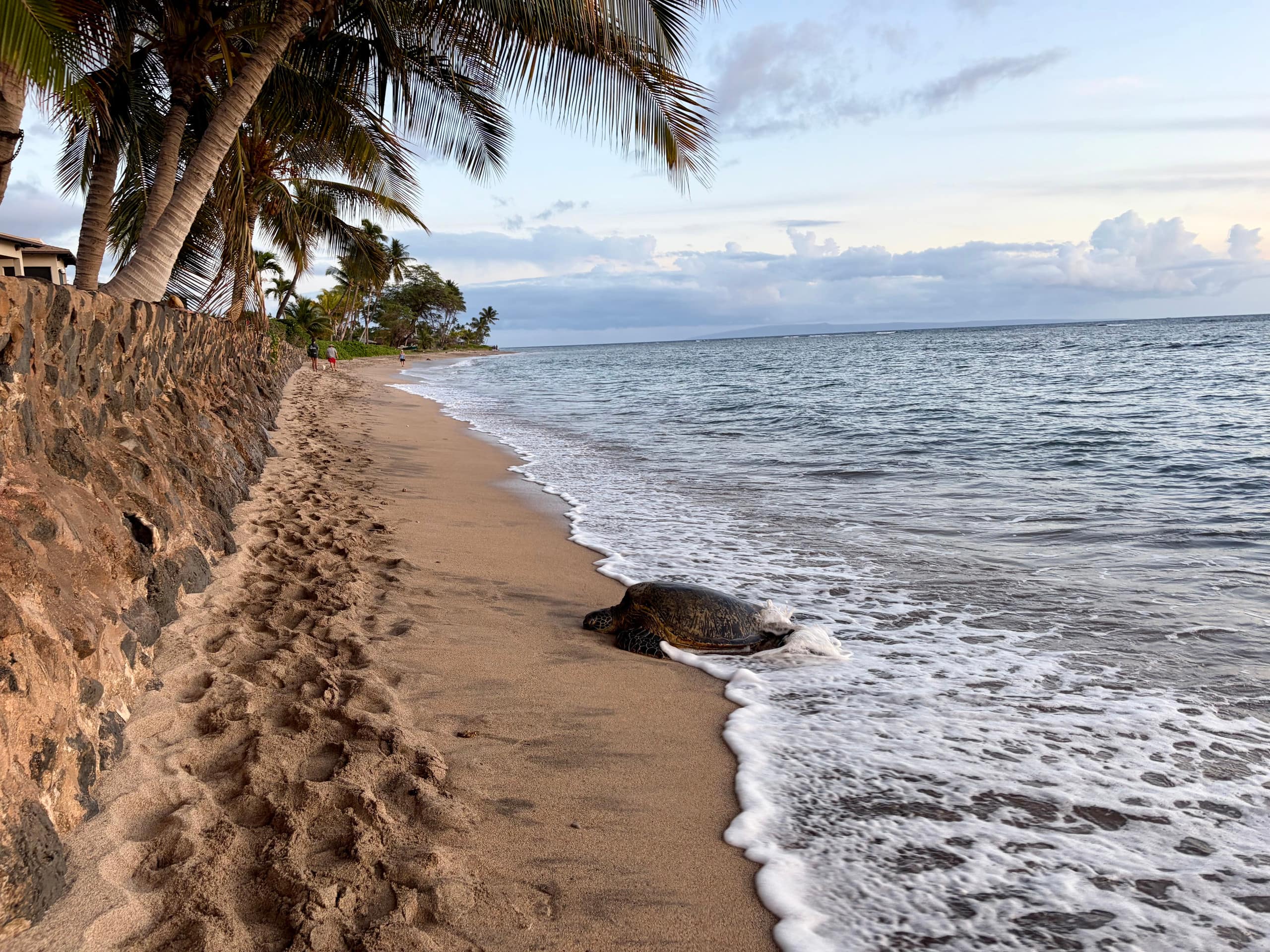 Condo in Lahaina · ★5.0 · Studio · 3 beds · 1 bath - Image 16