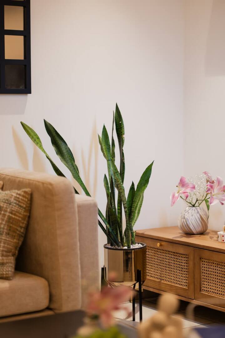 Living room image 9