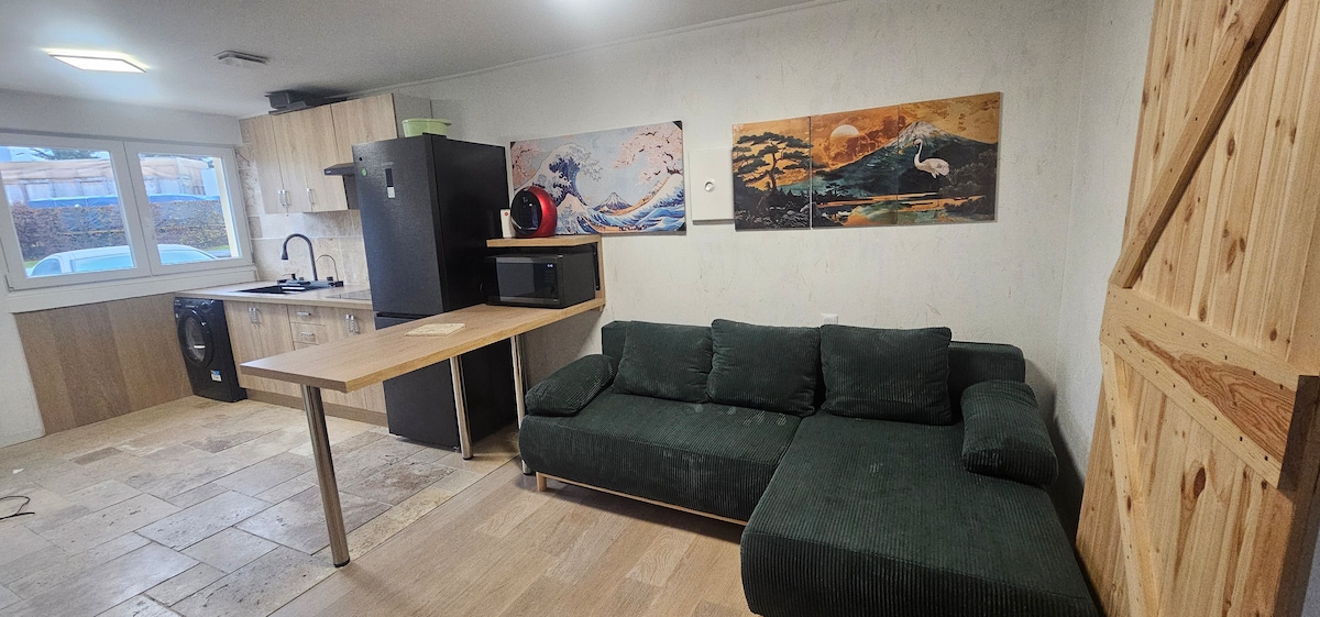 Successful Airbnb property: Cozy house Belfort in Belfort