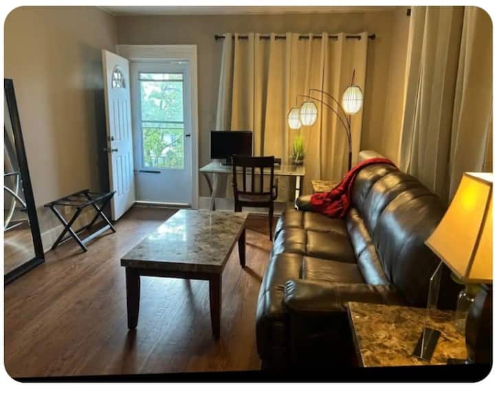 Cozy Apartment Near Downtown Detroit #2 - Hamtramck, MI