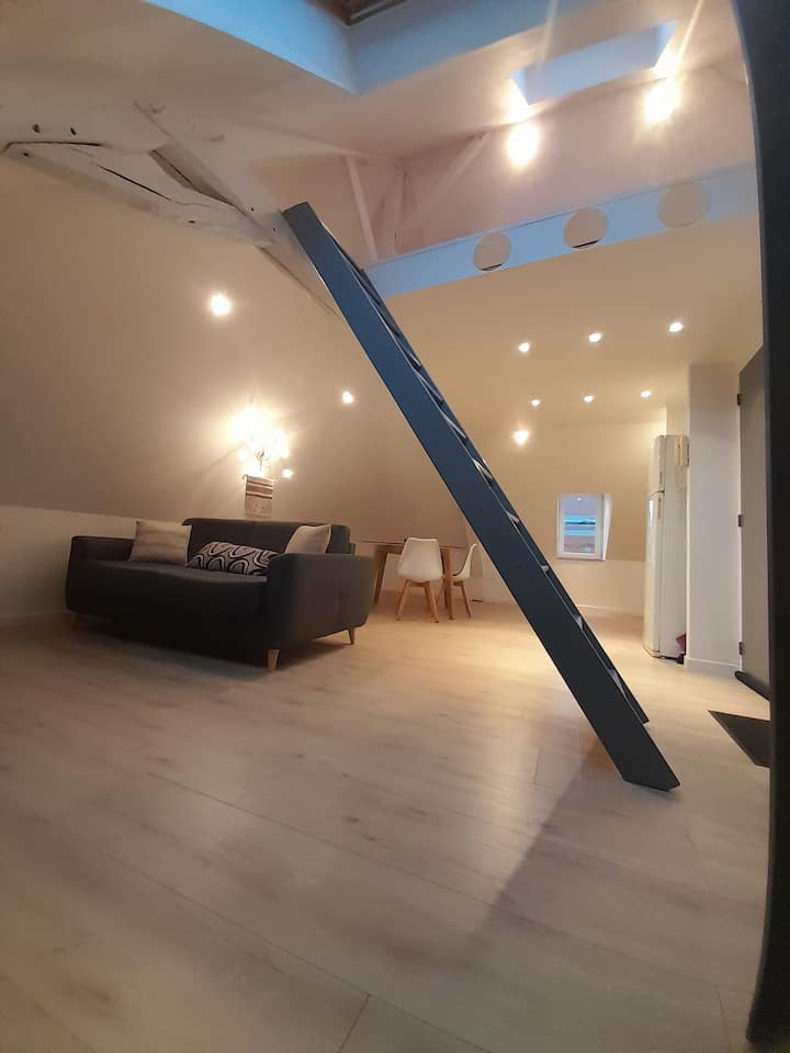 Appartement Rénové En Plein Cœur De Somain. - Somain