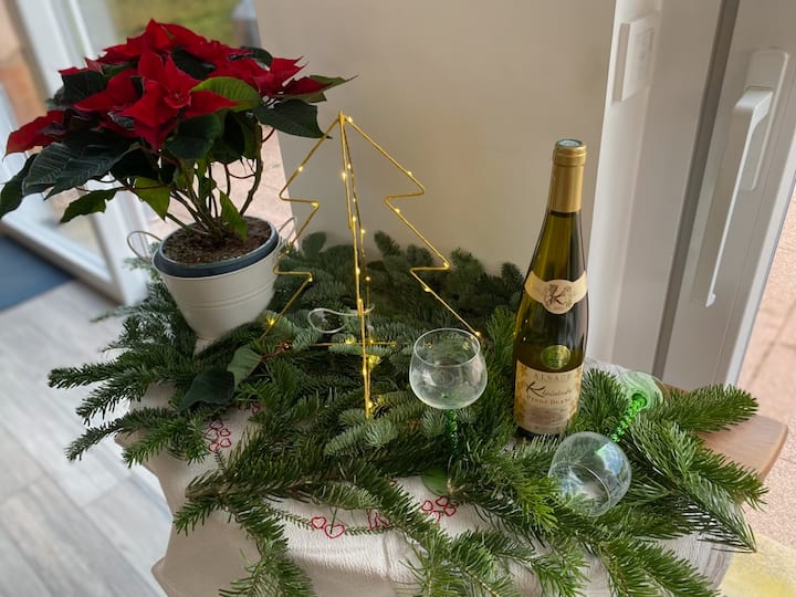 Appartement Cosy Wissembourg - Wissembourg