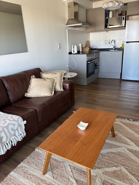 Successful Airbnb property: Apartment in Pocitos in Municipio Ch