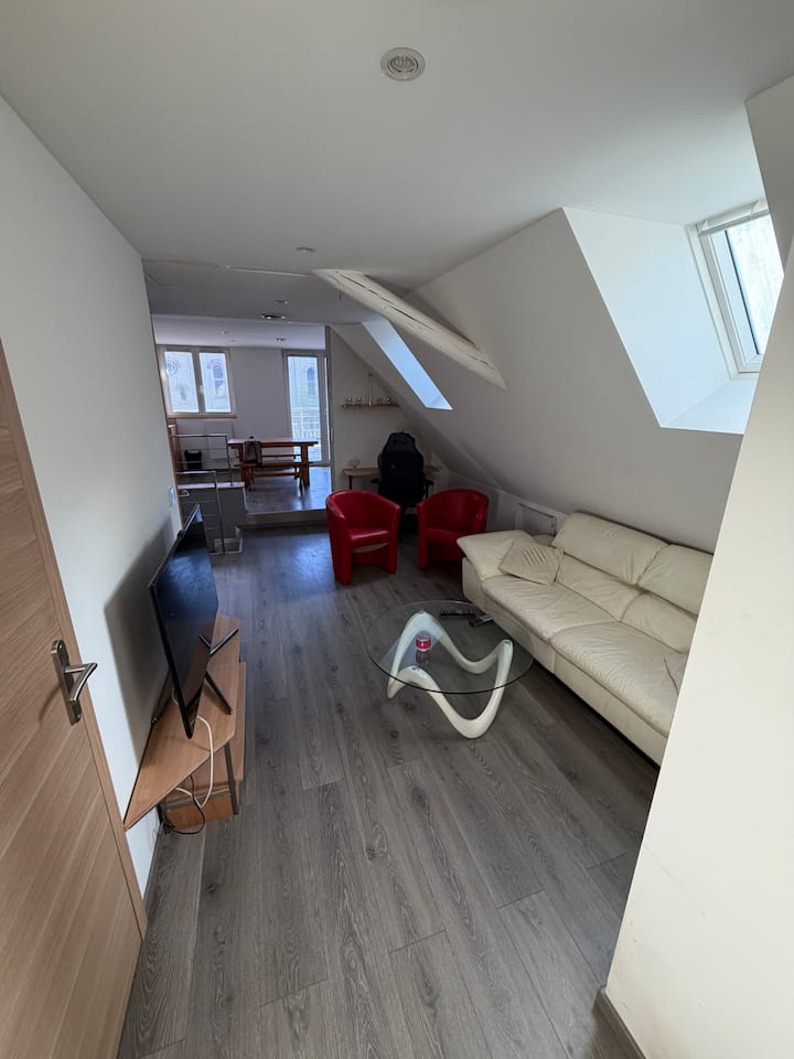 Appartement 3 Pièces - Marlenheim