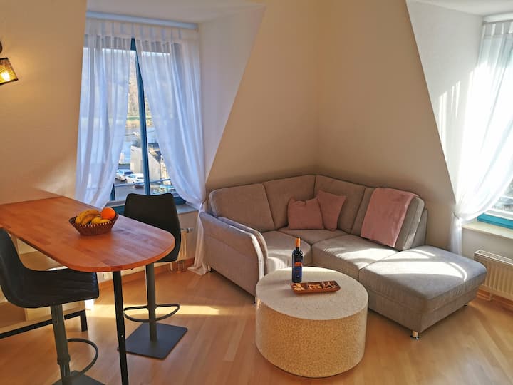 Fewo "Elbblick" Große Dachterrasse & Tiefgarage - Radeberg