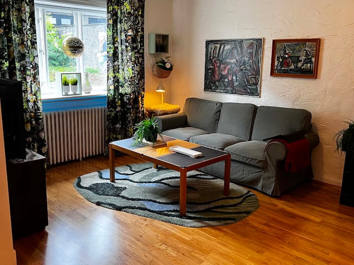 Near Hospital. Newly Renov. 2 Bedr. Apartm. Downt. - Reykjavík