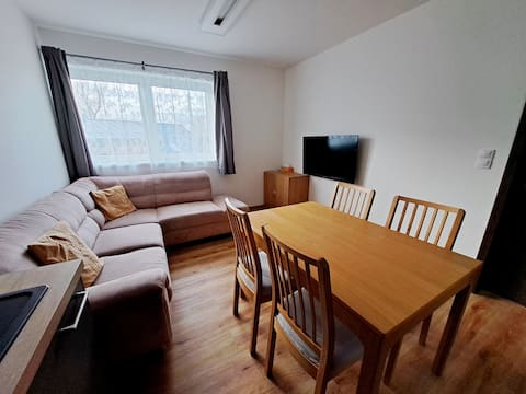 Successful Airbnb property: Modern apartment Malé Lipno in Horní Planá
