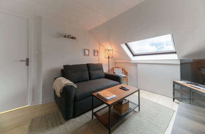Appartement Cosy Dans Le Centre De Vichy - Vichy