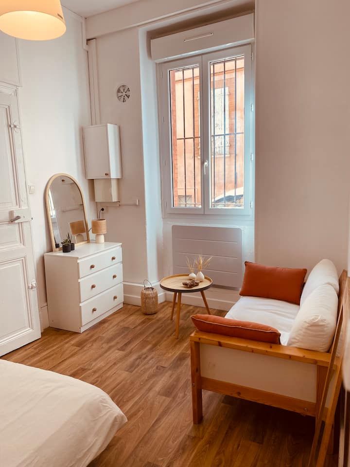 T1 Bis Lumineux Quartier Typique St Aubin - Toulouse