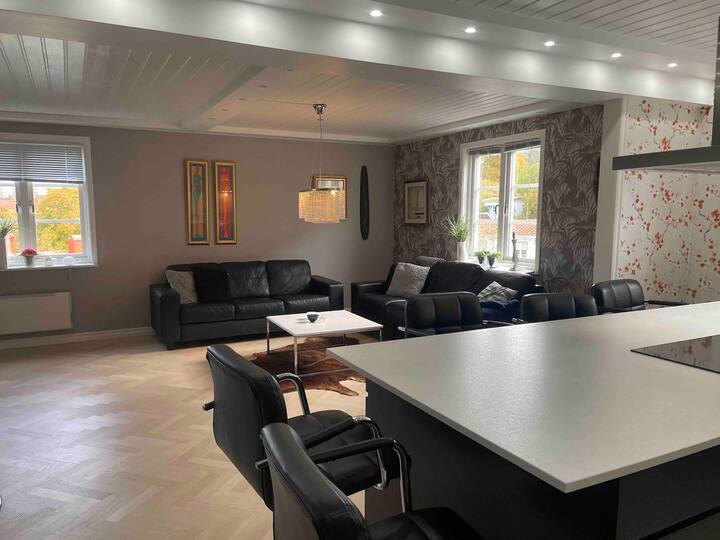 غرفة المعيشة