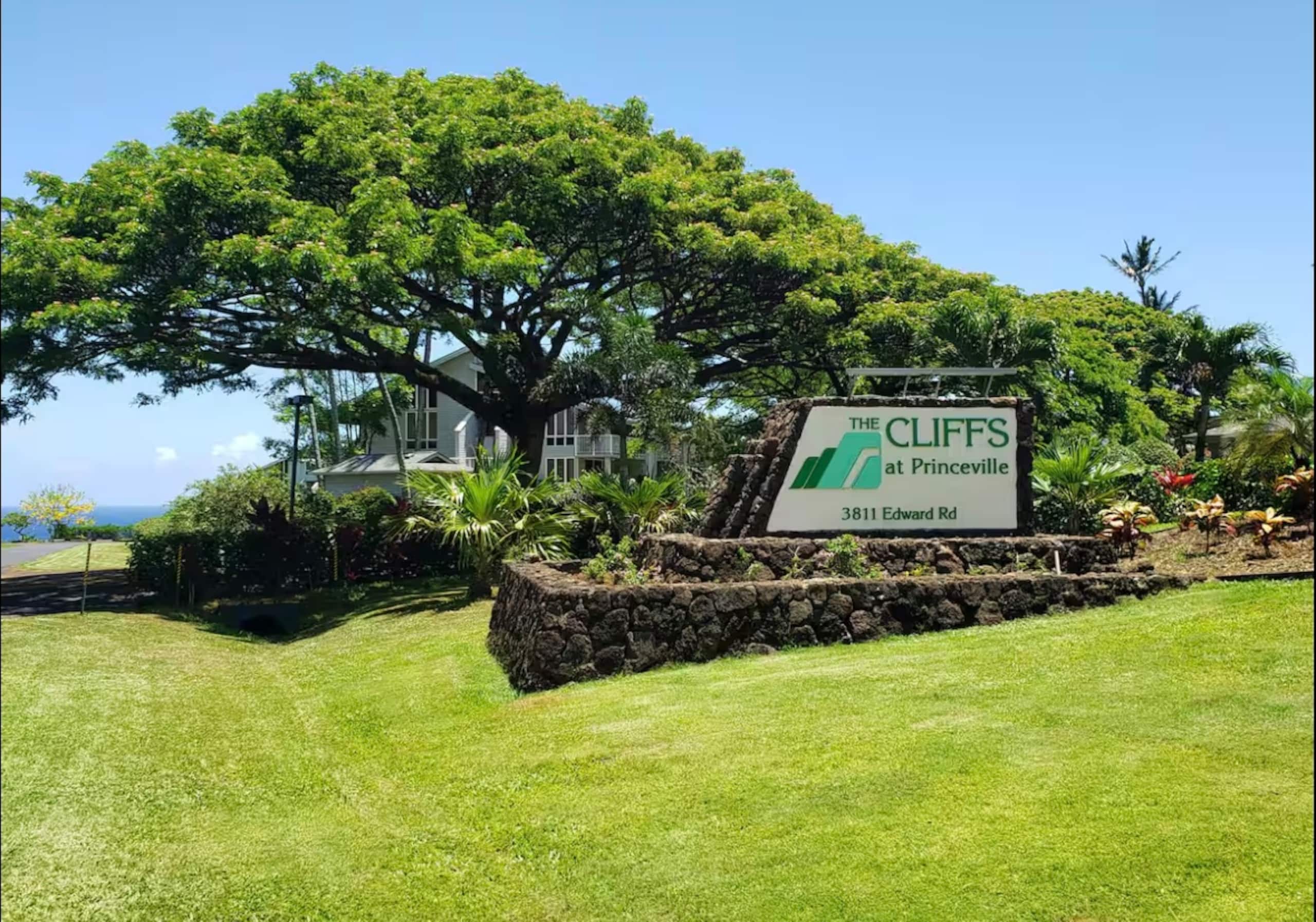 Kauai dream vacation - Image 15