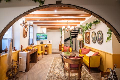 Top performing Airbnb: The house of the rings in Sélestat