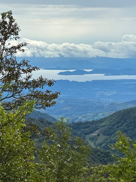 Cloud Forest of Monteverde with view of Pacific