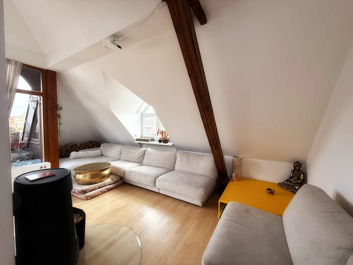 180 Sqm Penthouse At The Heart Of Munich-schwabing - Munich