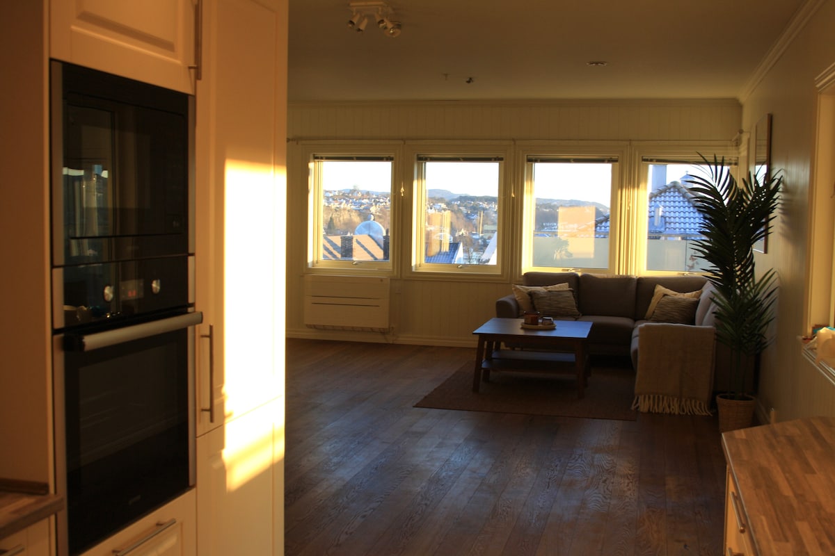 Penthouse Apartments For Rent In Skien